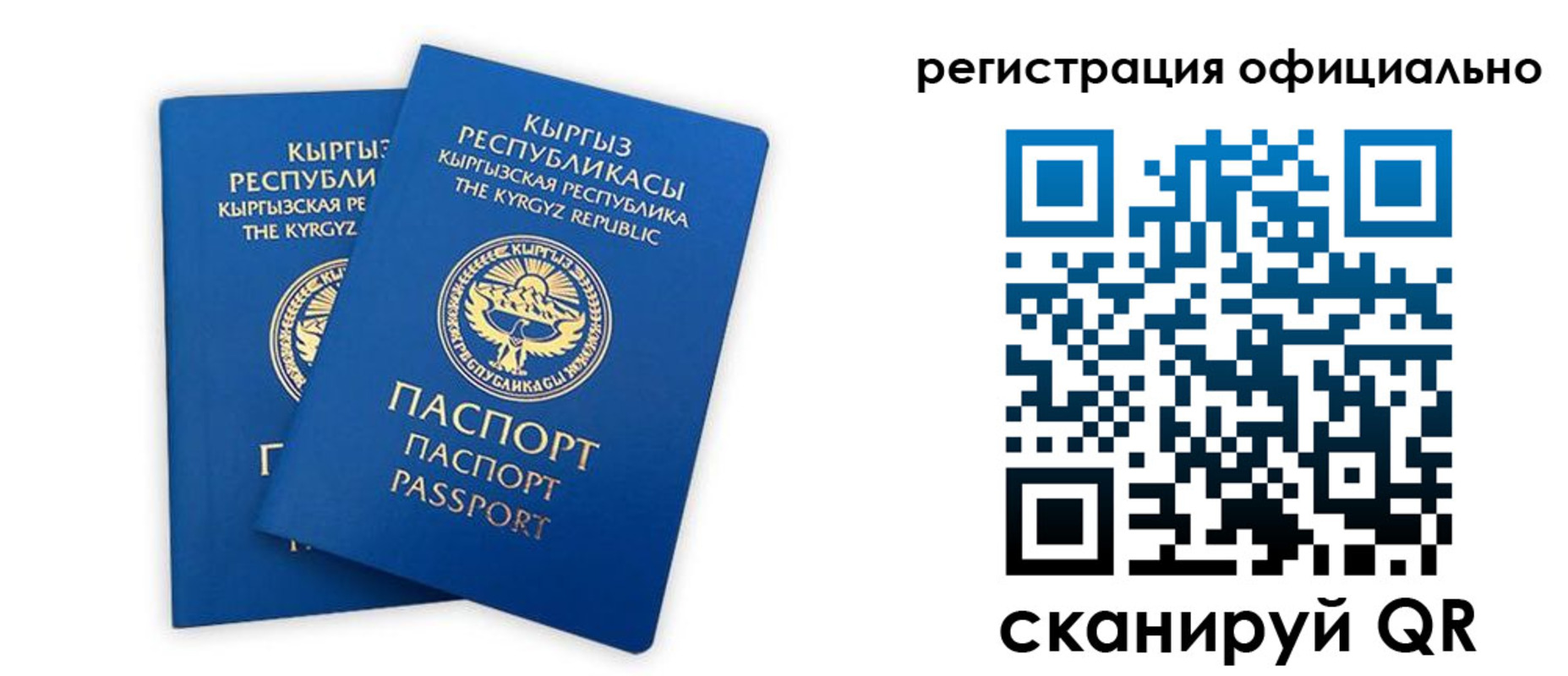 прописка поиск в Шимановске